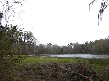 Lakefront Property for sale in Jefferson County, Florida