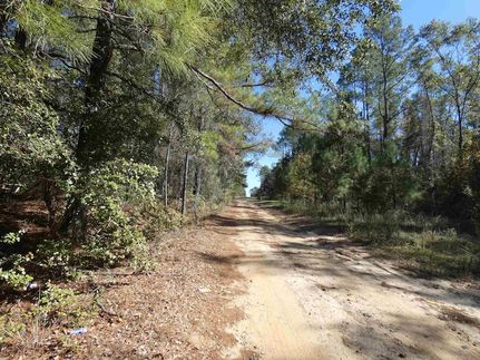 Homesite for sale in Jefferson County, Florida