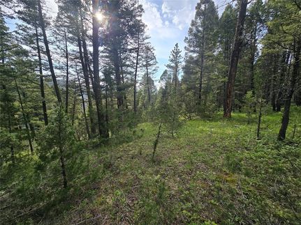 Undeveloped Land for sale in Granite County, Montana