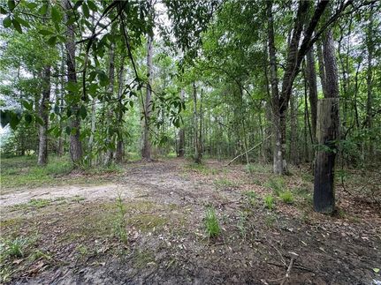 Land for sale in Allen Parish, Louisiana