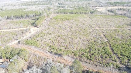 Land for sale in Lamar County, Alabama