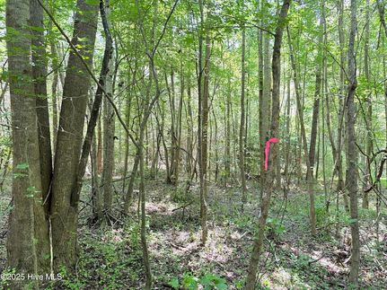 Land for sale in Hertford County, North Carolina