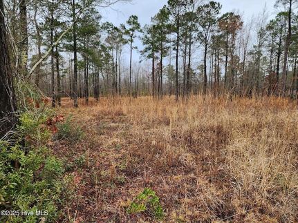 Undeveloped Land for sale in Craven County, North Carolina