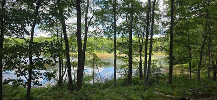 Homesite for sale in Clare County, Michigan