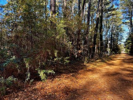 Farm and Ranch for sale in Accomack County, Virginia