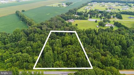 Undeveloped Land for sale in Caroline County, Maryland