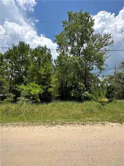Homesite for sale in Mobile County, Alabama