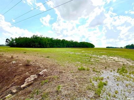 Undeveloped Land for sale in Gallatin County, Illinois