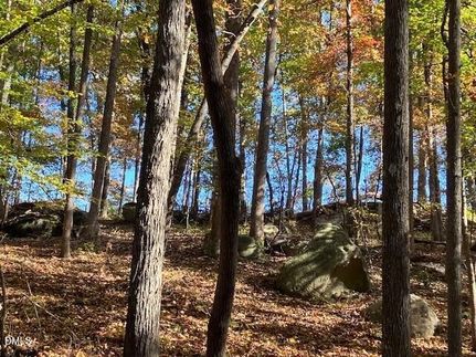 Land for sale in Person County, North Carolina