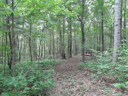 Land for sale in Sumner County, Tennessee