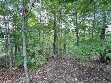 Land for sale in Grainger County, Tennessee