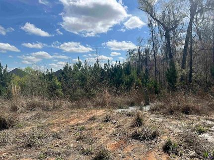 Land for sale in Houston County, Georgia