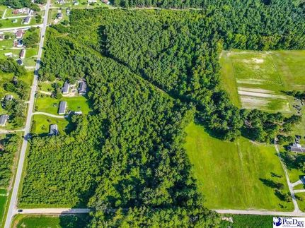 Land for sale in Marion County, South Carolina