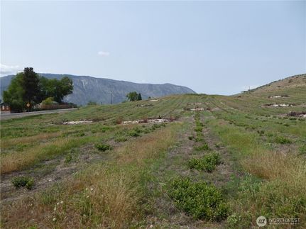 Undeveloped Land for sale in Chelan County, Washington