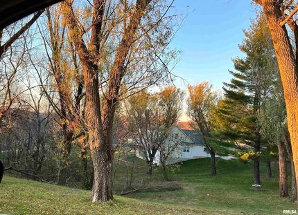 Land for sale in Mercer County, Illinois