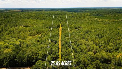 Land for sale in Polk County, Texas
