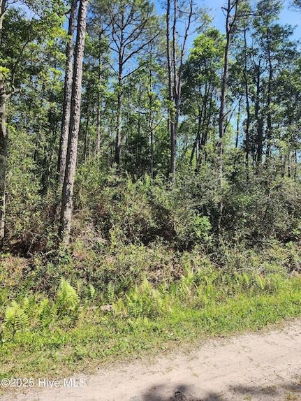 Timberland Property for sale in Brunswick County, North Carolina