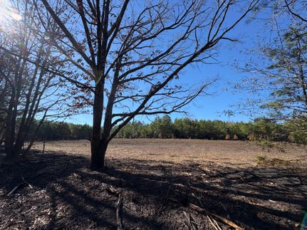 Land for sale in Choctaw County, Alabama