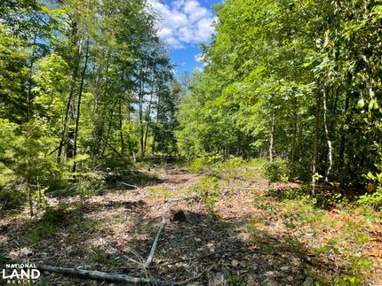 Hunting Property for sale in Choctaw County, Alabama