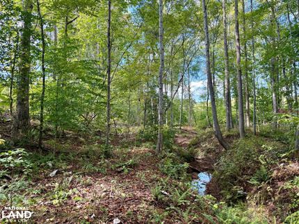 Land for sale in Walker County, Alabama