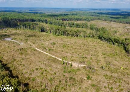 Land for sale in Winston County, Alabama