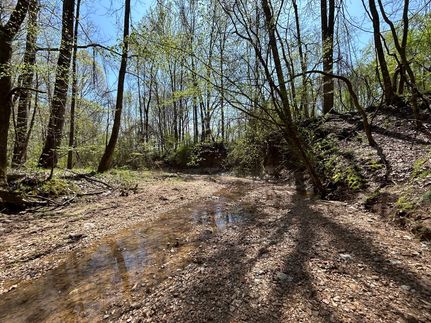 Timberland Property for sale in Panola County, Mississippi