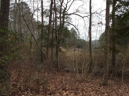 Lakefront Property for sale in Northumberland County, Virginia