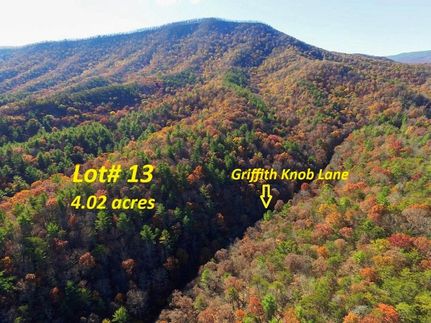 Undeveloped Land for sale in Wythe County, Virginia