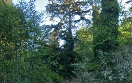 Land for sale in Grays Harbor County, Washington