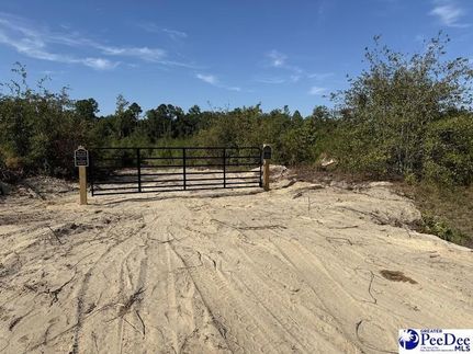 Land for sale in Lexington County, South Carolina