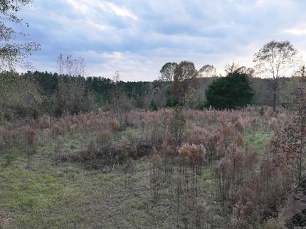 Land for sale in Clark County, Arkansas