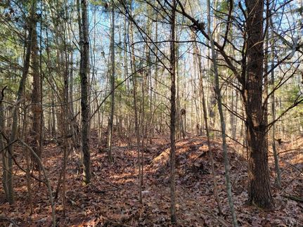 Homesite for sale in Campbell County, Virginia