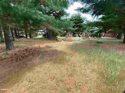 Homesite for sale in Carroll County, Illinois