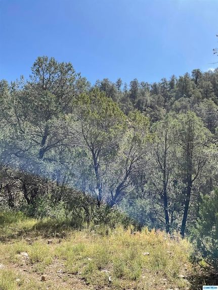 Land for sale in Grant County, New Mexico