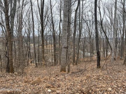 Undeveloped Land for sale in Overton County, Tennessee