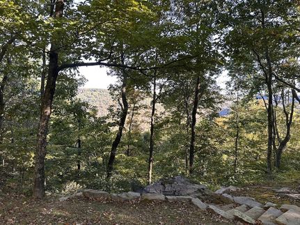 Undeveloped Land for sale in Warren County, Tennessee