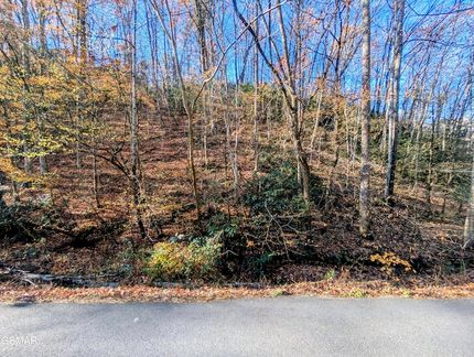 Homesite for sale in Sevier County, Tennessee