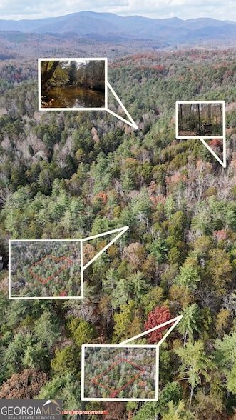 Land for sale in Habersham County, Georgia