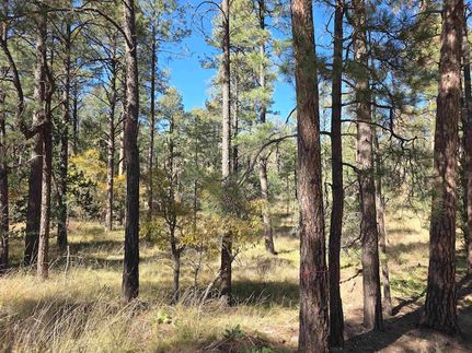 Land for sale in Otero County, New Mexico