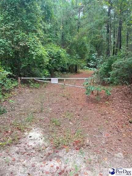 Homesite for sale in Kershaw County, South Carolina