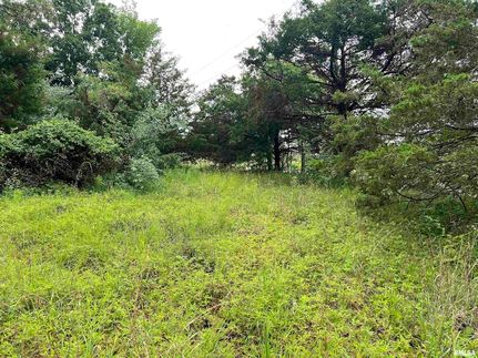 Homesite for sale in Johnson County, Illinois