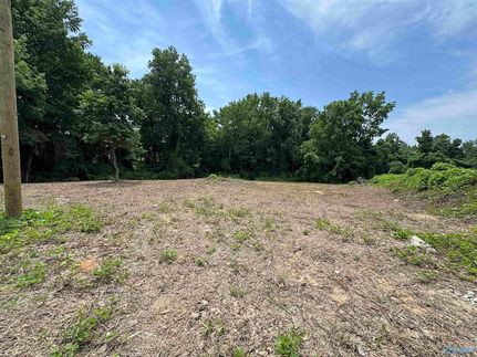 Undeveloped Land for sale in DeKalb County, Alabama