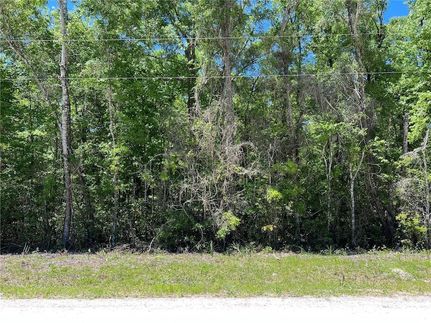 Homesite for sale in Collier County, Florida