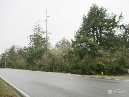 Homesite for sale in Grays Harbor County, Washington
