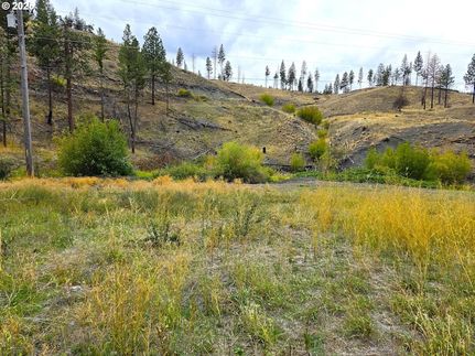 Undeveloped Land for sale in Grant County, Oregon