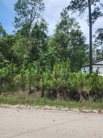 Homesite for sale in Volusia County, Florida