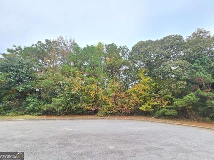 Undeveloped Land for sale in Douglas County, Georgia