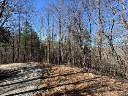 Homesite for sale in Clay County, North Carolina
