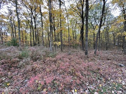 Land for sale in Pike County, Pennsylvania