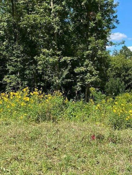 Land for sale in Scott County, Minnesota